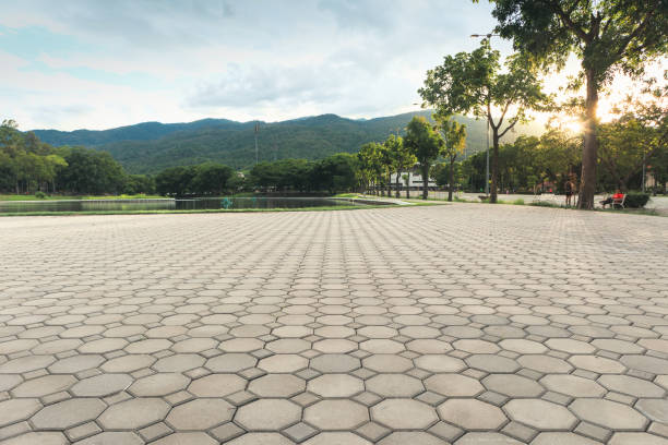 Best Residential Paver Driveway  in Penn Farms, PA